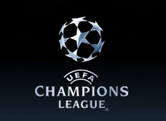 仅展示了皇 仅展示了皇